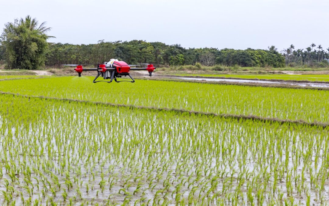 Drone Delivery