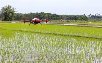 Drone Delivery