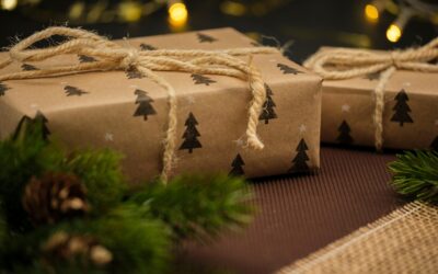 Jenis-Jenis Drone dalam Pengiriman